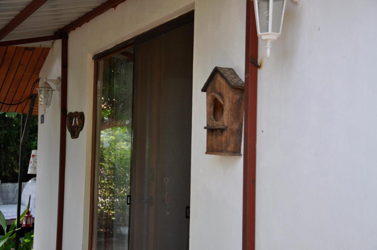 Bed and Breakfast Cirali Kus Yuvasi Exterior foto