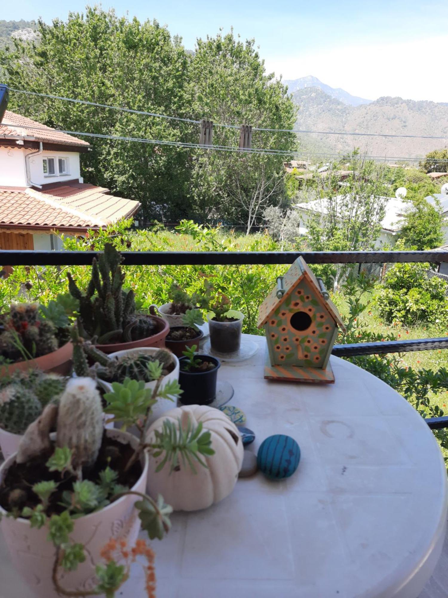 Bed and Breakfast Cirali Kus Yuvasi Habitación foto